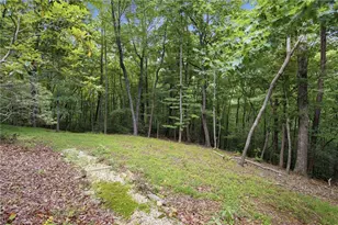 4154 Wilderness Pkwy, Big Canoe, GA 30143 - Photo 47