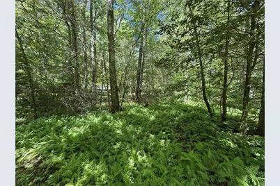 1199 Mountain Cove Road, Dahlonega, GA 30533 - Photo 15