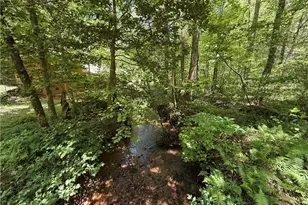 1199 Mountain Cove Rd, Dahlonega, GA 30533 - Photo 1
