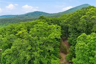 0 Owl Ridge Way, Jasper, GA 30143 - Photo 1