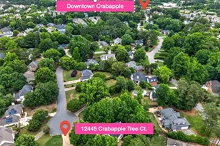 12445 Crabapple Tree Ct, Alpharetta, GA 30004 - Photo 11