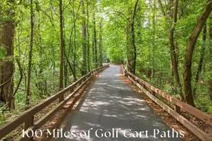 910 Laurel Brooke Ave, Peachtree City, GA 30269 - Photo 95