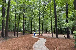 343 Pine Grove Rd, Roswell, GA 30075 - Photo 39