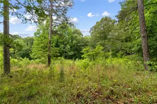 4454 Ledan Ext, Gainesville, GA 30506 - Photo 49