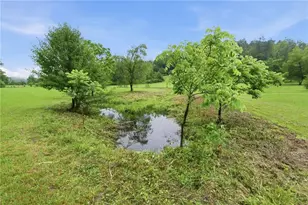 6924 Warwoman Rd, Clayton, GA 30525 - Photo 53