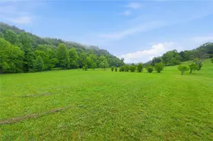 6924 Warwoman Rd, Clayton, GA 30525 - Photo 63