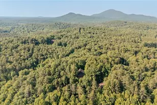 266 Enota Dr, Sautee Nacoochee, GA 30571 - Photo 47