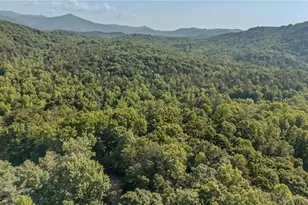 266 Enota Dr, Sautee Nacoochee, GA 30571 - Photo 49