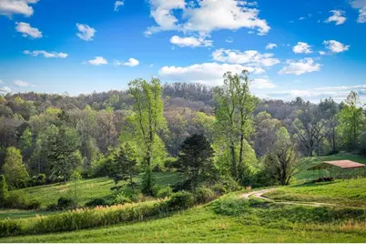 384 Maxwell Road, Blue Ridge, GA 30513 - Photo 51