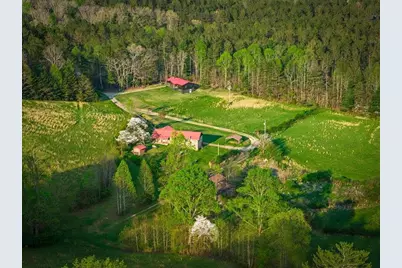 384 Maxwell Road, Blue Ridge, GA 30513 - Photo 49