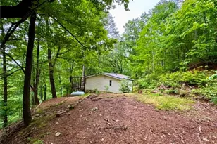 895 Newman Ct NE, Ranger, GA 30734 - Photo 3