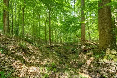 1981 Mountain Road, Alpharetta, GA 30004 - Photo 5