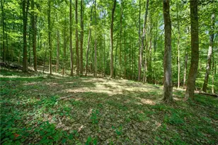 1981 Mountain Dr, Alpharetta, GA 30004 - Photo 13