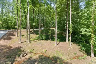 192 Browns Point, Dawsonville, GA 30534 - Photo 51
