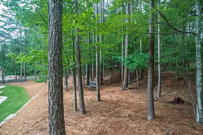 497 Oak Forest Drive, Dawsonville, GA 30534 - Photo 39