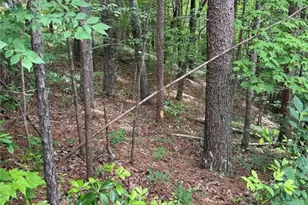0 Hinterstraten Weg, Helen, GA 30545 - Photo 1