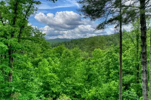 287 Rhonda Ln, Mineral Bluff, GA 30559 - Photo 63