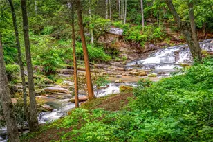 4396 Hwy 382 W, Ellijay, GA 30540 - Photo 77