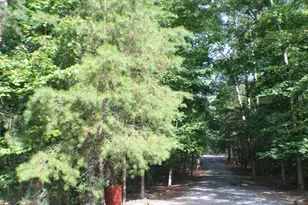 568 N Stewart Ln, Rising Fawn, GA 30738 - Photo 59