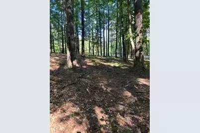 46 Davis Road, Hiram, GA 30141 - Photo 3