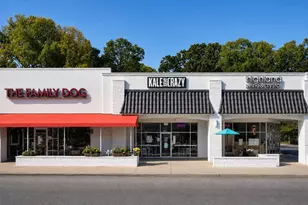 1069 Woodbridge Hollow NE, Atlanta, GA 30306 - Photo 41