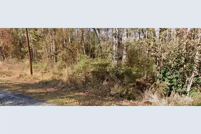 2842 Drowning Creek Road, Dacula, GA 30019 - Photo 3