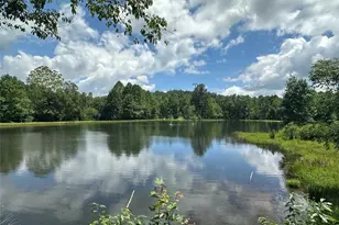 140 Cv Vw Ln, Clarkesville, GA 30523 - Photo 55
