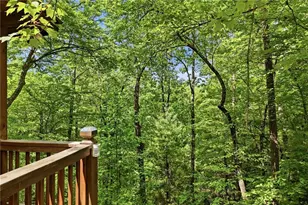 156 Dupont Drive, Blue Ridge, GA 30513 - Photo 27