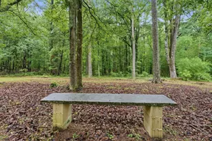 542 Knox Chapel Rd, Social Circle, GA 30025 - Photo 45