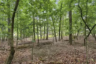 4115 Morningside Dr, Cumming, GA 30041 - Photo 43