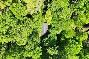 37 Dean Court, Blue Ridge, GA 30513 - Photo 29