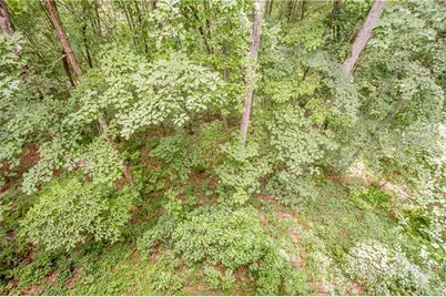 213 Moonshine Hollow, Blue Ridge, GA 30513 - Photo 31