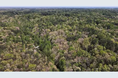 0 Crane Mountain Road, Toccoa, GA 30577 - Photo 5