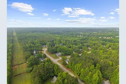 300 Cobb Court, Hampton, GA 30228 - Photo 59