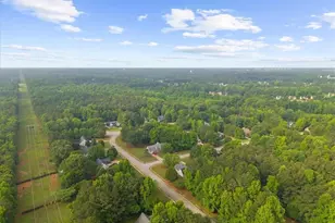 300 Cobb Ct, Hampton, GA 30228 - Photo 59