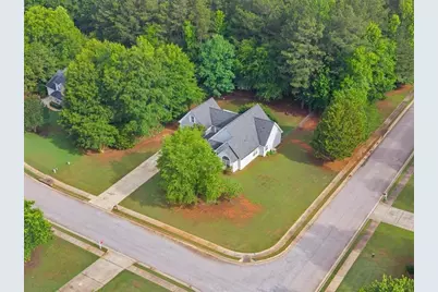 300 Cobb Court, Hampton, GA 30228 - Photo 57
