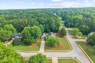 300 Cobb Ct, Hampton, GA 30228 - Photo 55
