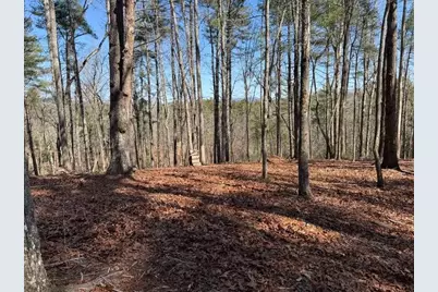 120R Red Oak Trail, Ellijay, GA 30540 - Photo 3