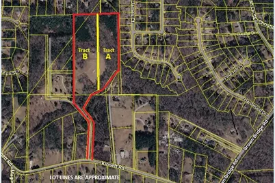 0 Kinnett Road, Covington, GA 30016 - Photo 3