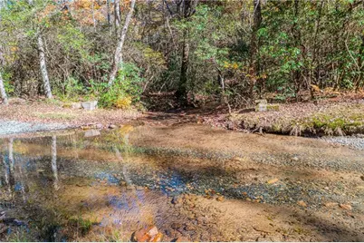 339 Wehunt Road, Blue Ridge, GA 30513 - Photo 71