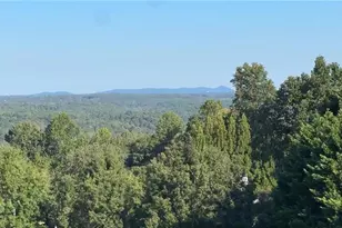 115 Mountain Falls Way, Canton, GA 30115 - Photo 55