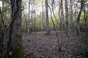 00 Thurman Baccus Rd, Social Circle, GA 30025 - Photo 1
