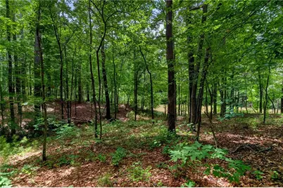 5365 Lake Redwine Cove, Acworth, GA 30101 - Photo 83
