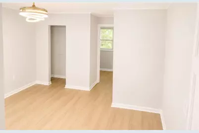 45 New Bridge Road, Cleveland, GA 30528 - Photo 5