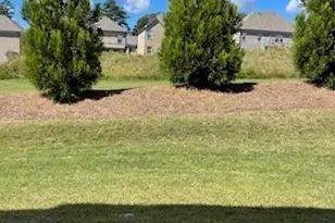 2462 Pearl Rdg Trce, Buford, GA 30519 - Photo 21