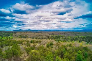 276 My Mountain Rd, Morganton, GA 30560 - Photo 51