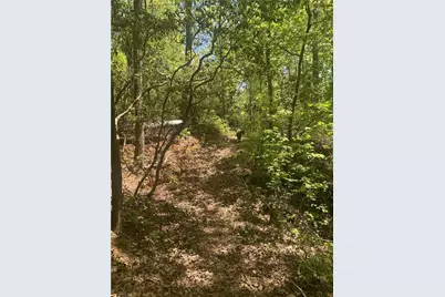 159 Prospect Trail, Cleveland, GA 30528 - Photo 49