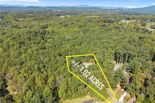 227 Clarkesville Heights Dr, Clarkesville, GA 30523 - Photo 49
