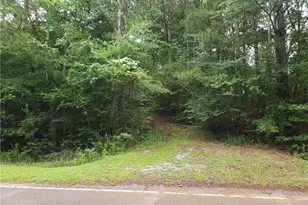 0 Potash Rd, Cedartown, GA 30125 - Photo 1