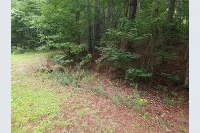 0 Potash Road, Cedartown, GA 30125 - Photo 13